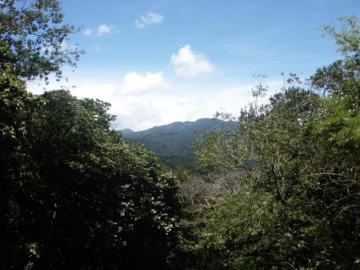 24a - Parc des Mamelles - Marche 023.jpg - DCF 1.0